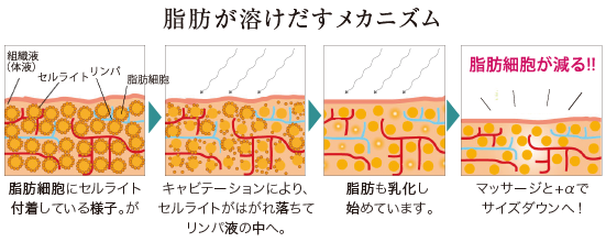 脂肪が溶け出すメカニズム