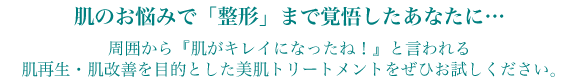 肌のお悩みで整形まで覚悟したあなたに...。周囲から「肌がキレイになったね！」と言われる肌再生・肌改善を目的とした美肌トリートメントをぜひお試しください。